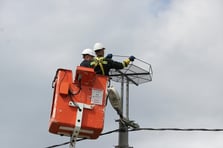 Trakya’da göçmen kuşlara güvenli göç yolu: 1000 özel platform kuruldu