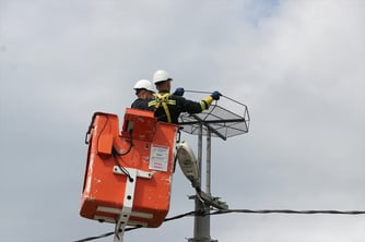 Trakya’da göçmen kuşlara güvenli göç yolu