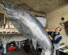 İran'lı heykeltıraştan "İnci Kefali" heykeli