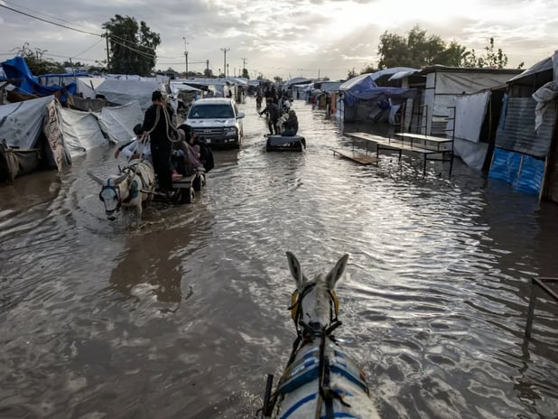 Türkiye ve 7 ülkeden Gazze çağrısı: Refah sınır kapısı açılsın