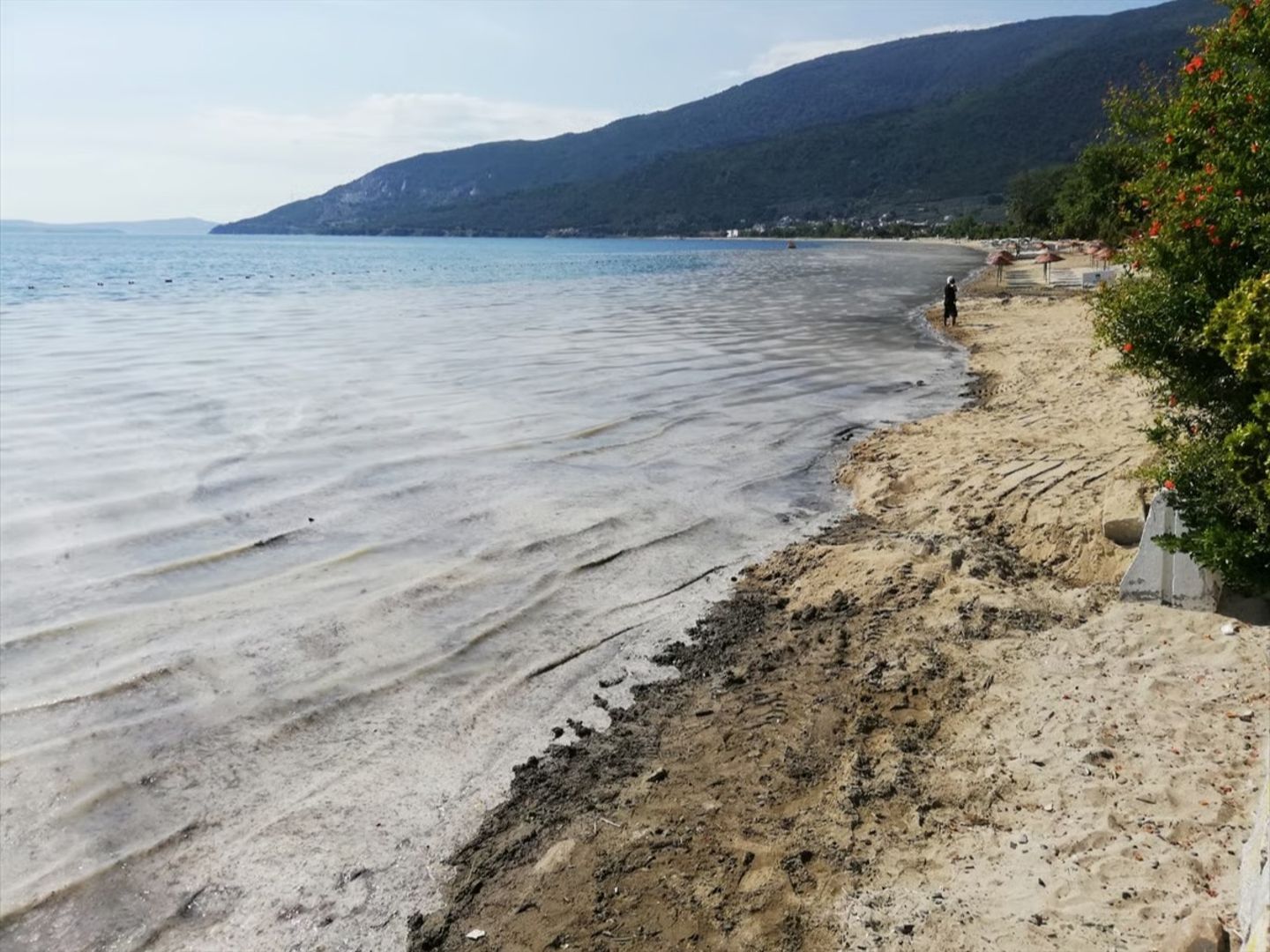 Müsilajla mücadele kapsamında Marmara'yı kirletenlere ceza uygulandı
