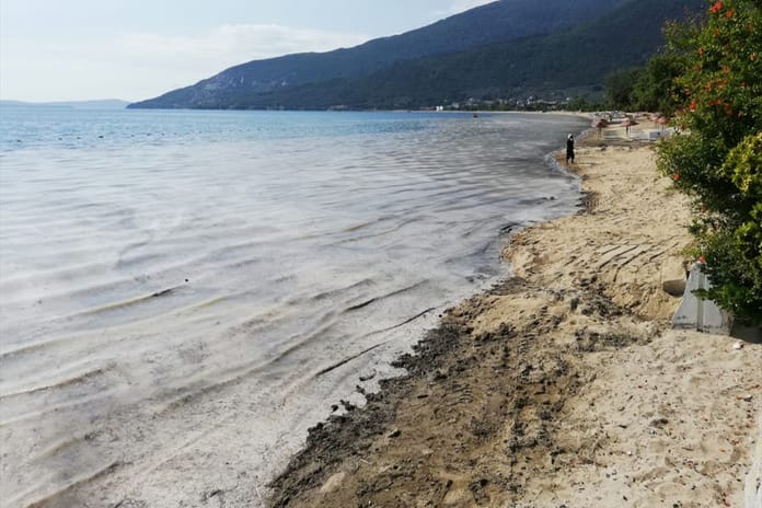 Müsilajla mücadele kapsamında Marmara'yı kirletenlere ceza uygulandı
