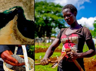 African Farmers in Shock amid Hormuz Fertilizer Crisis