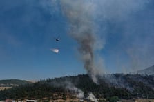 Bursa'da tarım alanında yangın çıktı