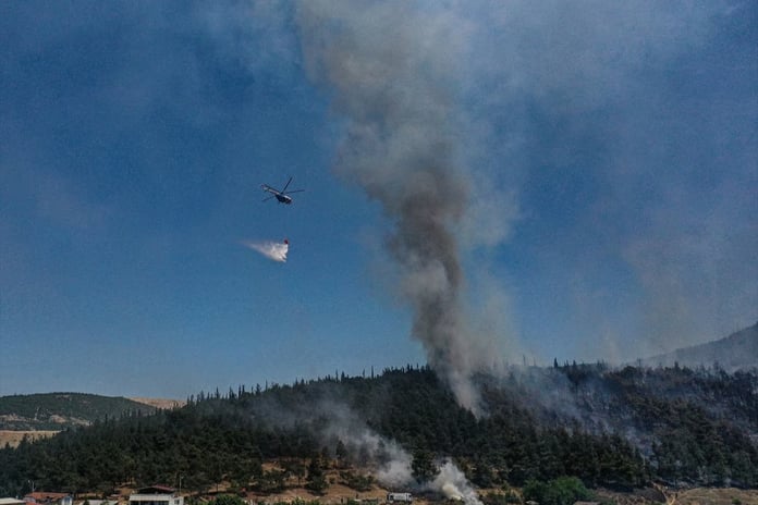 Bursa'da tarım alanında yangın çıktı
