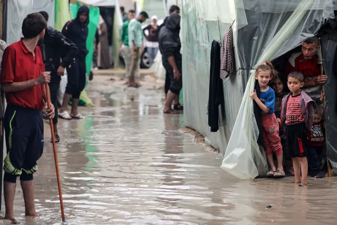 Gazze'de fareler sivil halka sorun yaşatıyor
