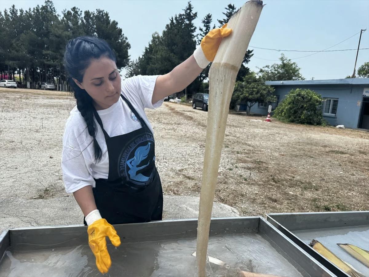 Girişimci kadınların elinde ilmek ilmek büyüyen ekonomi