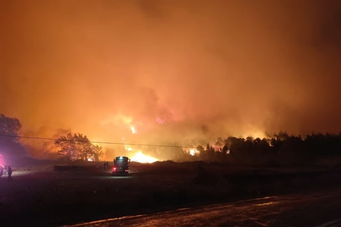 Bursa'daki orman yangını 14 saatte söndürüldü