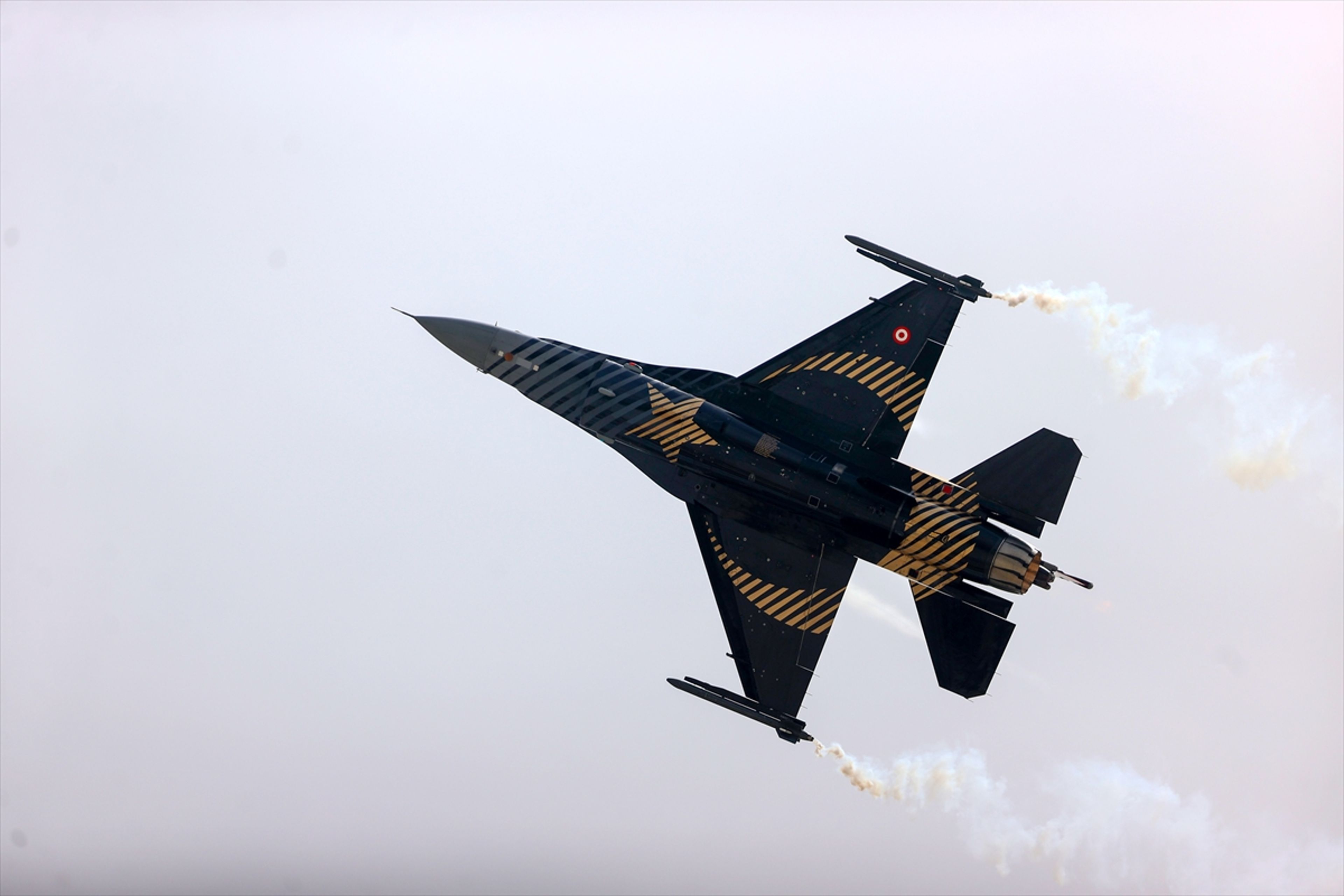 Galeri Fotoğrafı