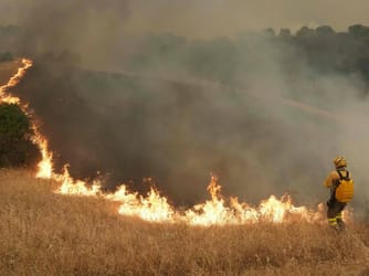 Wildfires Force 200,000 to Flee France and Spain
