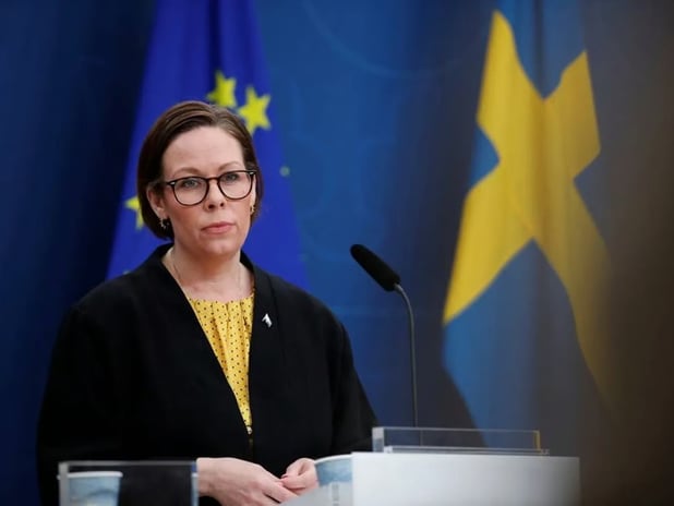 İsveç Dışişleri Bakanı'ndan dondurulmuş Rus varlıkları çıkışı