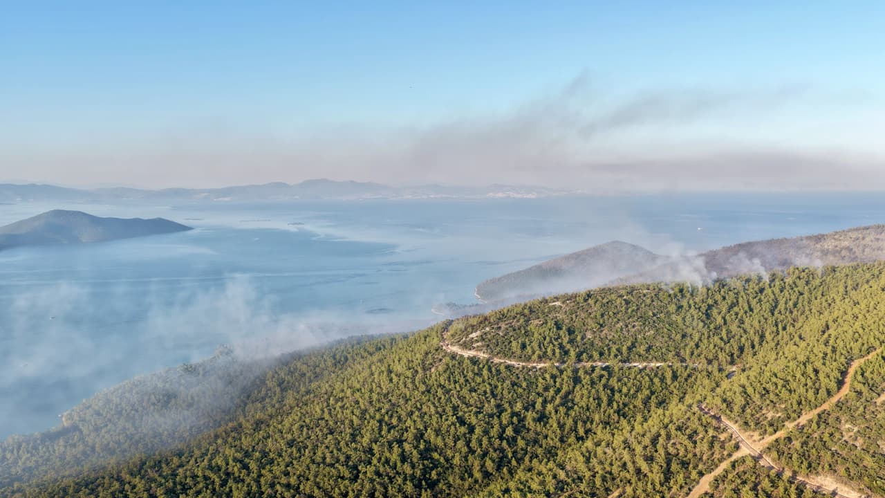 Milas'ta orman yangını kabusu: Bin 120 kişi tahliye edildi, havadan ve karadan seferberlik sürüyor