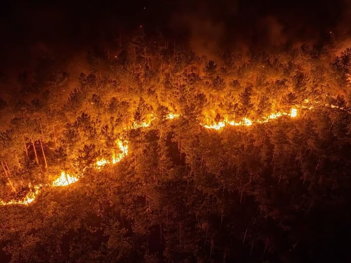 Bursa Harmancık'taki orman yangınına etkin müdahale sürüyor