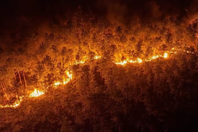 Bursa Harmancık'taki orman yangınına etkin müdahale sürüyor