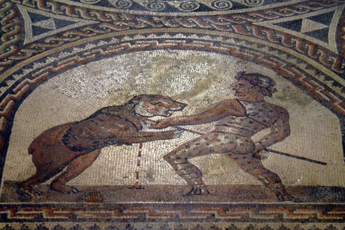 Roma gladyatörlerinin ayılarla gerçekten dövüştüğü ortaya çıktı