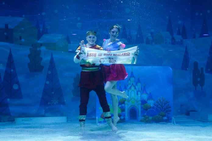 Renkli balıklar arasında görsel şölen