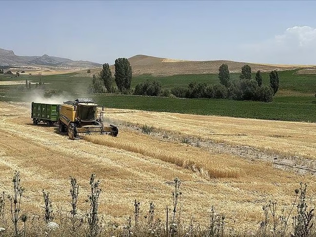 Bakanlık 14 bin dekar boş araziyi kiraya çıkarıyor