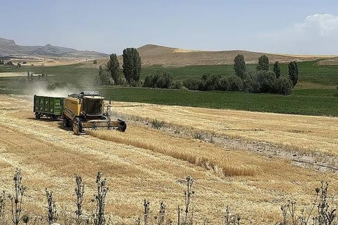 Bakanlık 14 bin dekar boş araziyi kiraya çıkarıyor