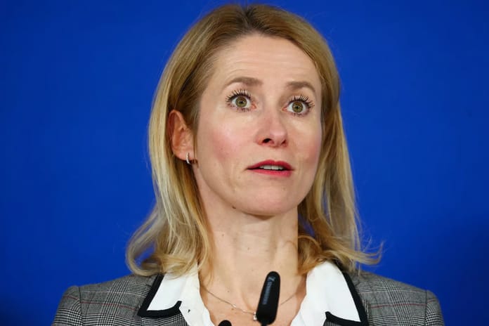 AB Yüksek Temsilcisi Kallas yeni bir Arktik politikasının zamanının geldiğini açıkladı