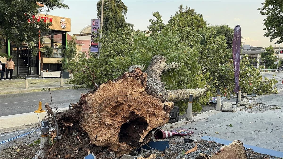 İstanbul'da etkili olan kuvvetli fırtına hayatı olumsuz etkiledi