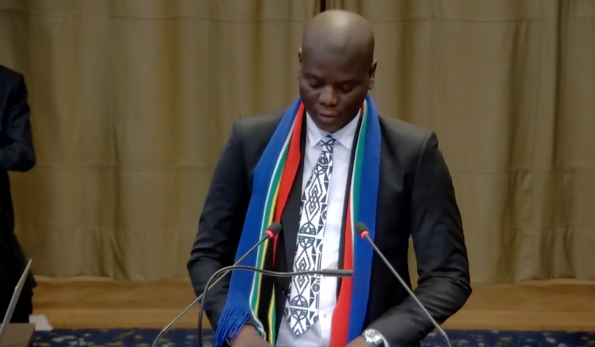 Güney Afrika Dışişleri Bakanı Ronald Lamola