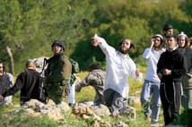 Yahudi işgalciler Filistinlilerin koyunlarını çaldı