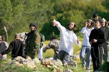 Yahudi işgalciler Filistinlilerin koyunlarını çaldı