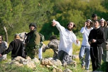 Yahudi işgalciler Filistinlilerin koyunlarını çaldı