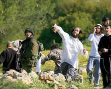 Yahudi işgalciler Filistinlilerin koyunlarını çaldı