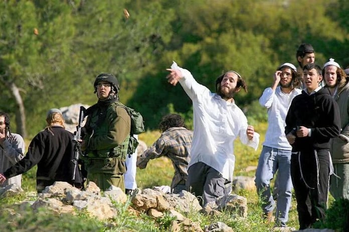 Yahudi işgalciler Filistinlilerin koyunlarını çaldı