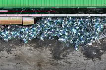 İSBİKE krizi büyüyor: Bisikletler hurda yığınına döndü