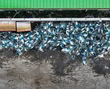 İSBİKE krizi büyüyor: Bisikletler hurda yığınına döndü