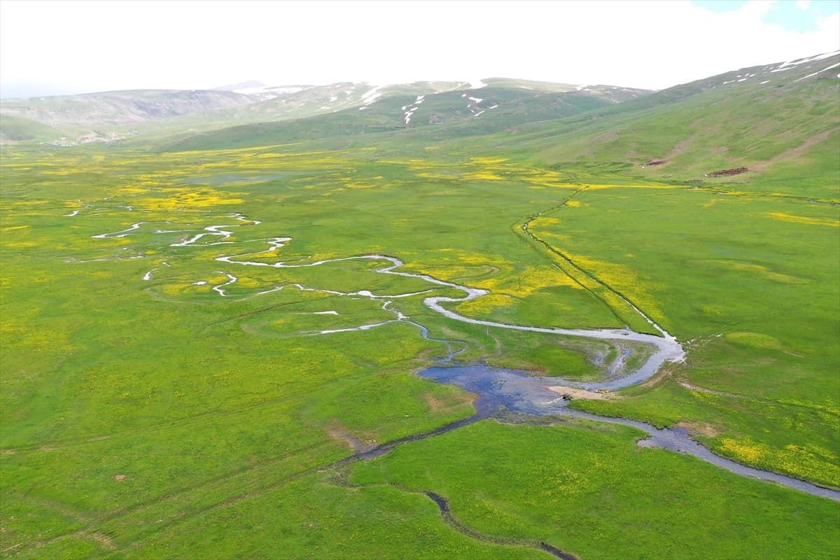 Ağrı'da ilkbahar güzelliği: Karlar eridi, menderesler dronla görüntülendi