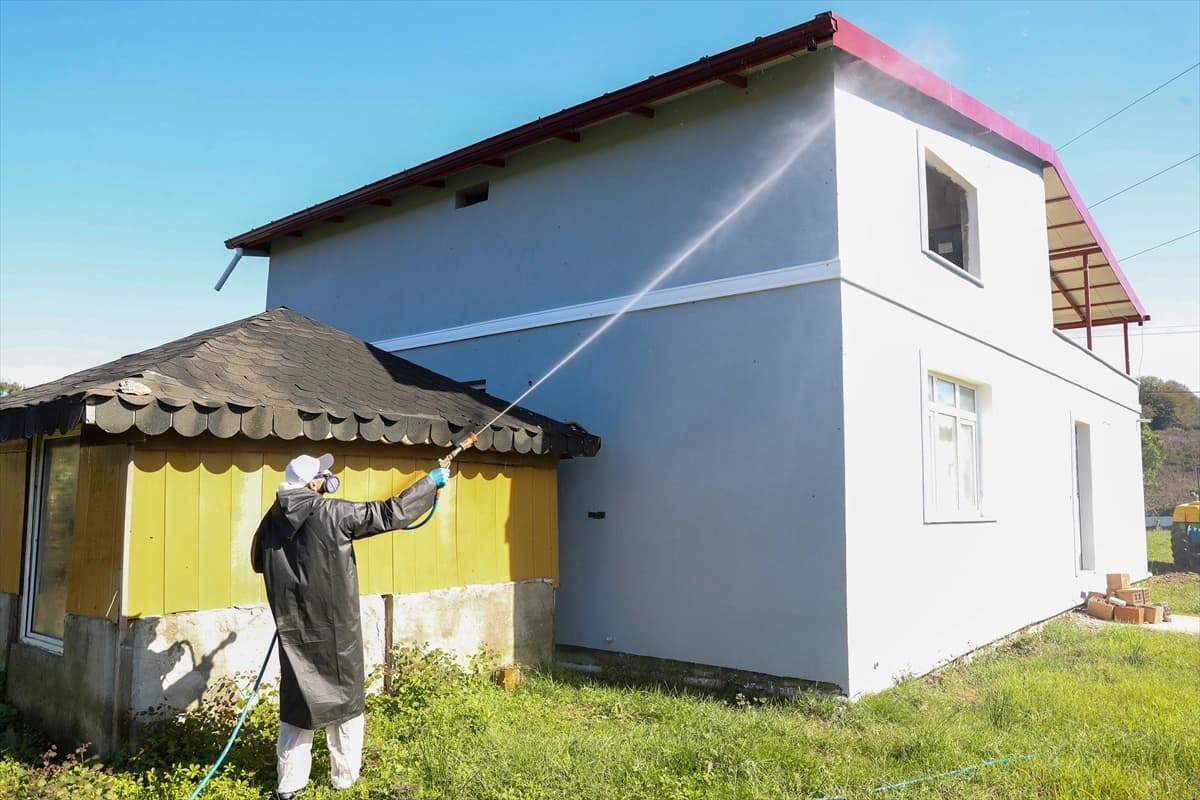 Sakarya'da kahverengi kokarca ile amansız mücadele sürüyor