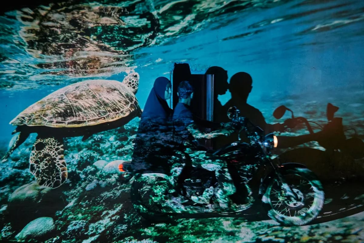 Delille ve Piermartiri, yüzleşen ve görsel olarak tutuklayan görüntülerle, izleyicileri gezegeni koruma konusunda daha yansıtıcı ve proaktif olmaya zorlamayı umuyor.