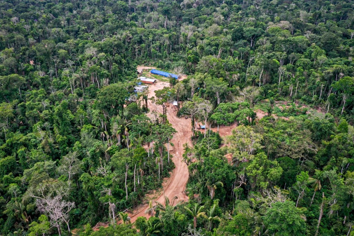 Mashco Piro kabilesinin Amazon'daki yerleşkesi - Reuters