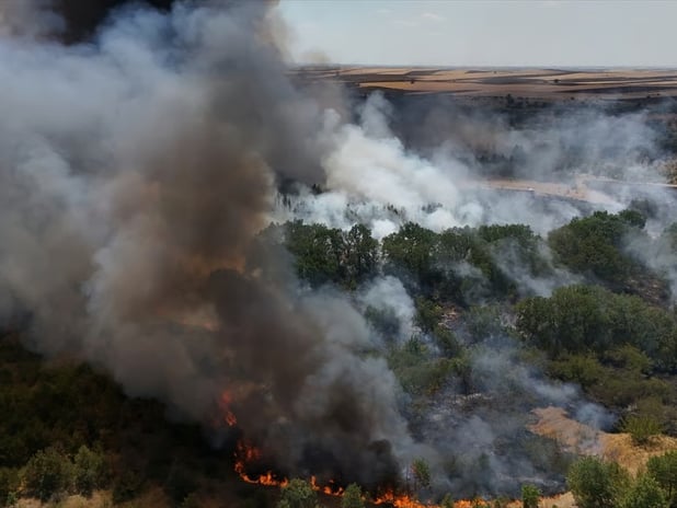 Kırklareli'nde yangın Avrupa Otoyolu'nu kapattı