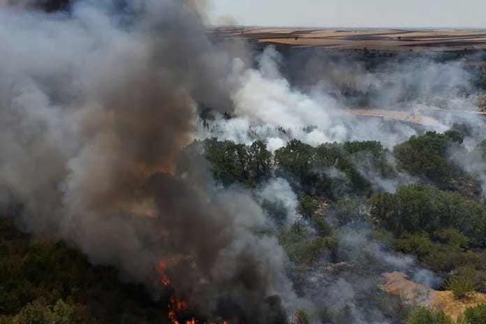Kırklareli'nde yangın Avrupa Otoyolu'nu kapattı