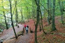 Milli parklar ve doğa koruma kanun teklifinin hangi maddeleri kabul edildi?