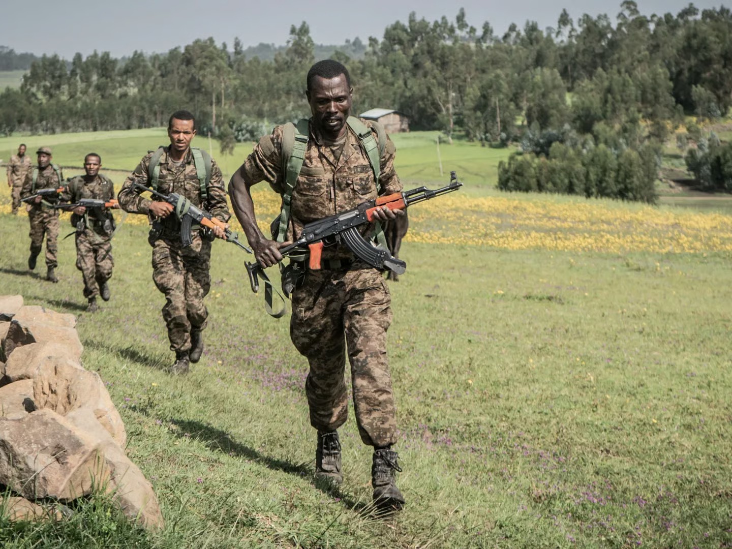 Ethiopian Army Claims Killing Over 80 Fano Fighters 