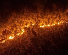 Bursa Harmancık'taki orman yangınına etkin müdahale sürüyor