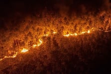 Bursa Harmancık'taki orman yangınına etkin müdahale sürüyor