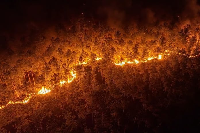 Bursa Harmancık'taki orman yangınına etkin müdahale sürüyor