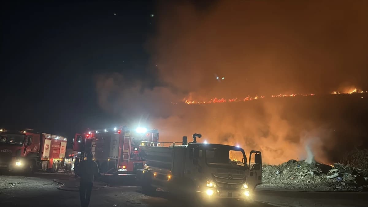 Bodrum'da makilik alanda yangın: Ekipler seferber oldu