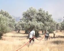 Orman yangınlarıyla mücadelede 39 bin kişilik gönüllü ordusu