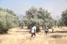 Orman yangınlarıyla mücadelede 39 bin kişilik gönüllü ordusu