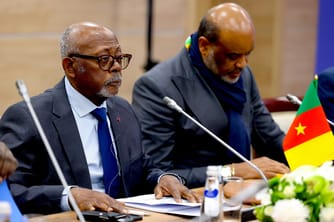 Cameroon: 16 Nationals Killed Fighting for Russia in Ukraine