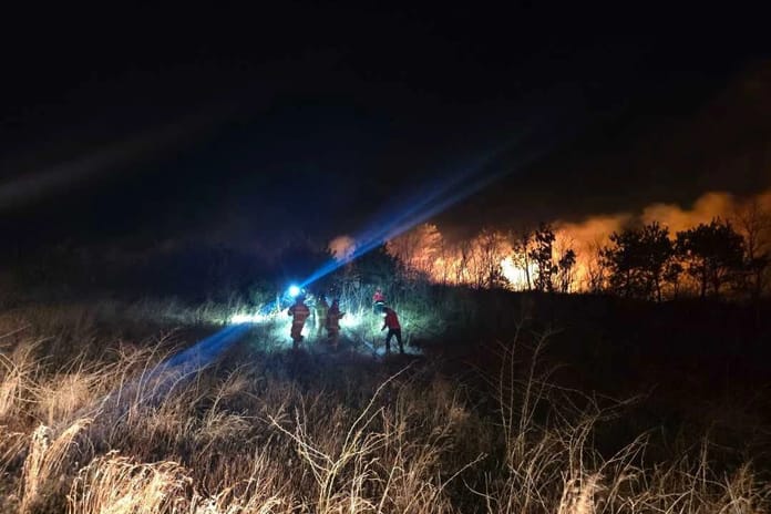 Fotoğraf / Korea Herald
