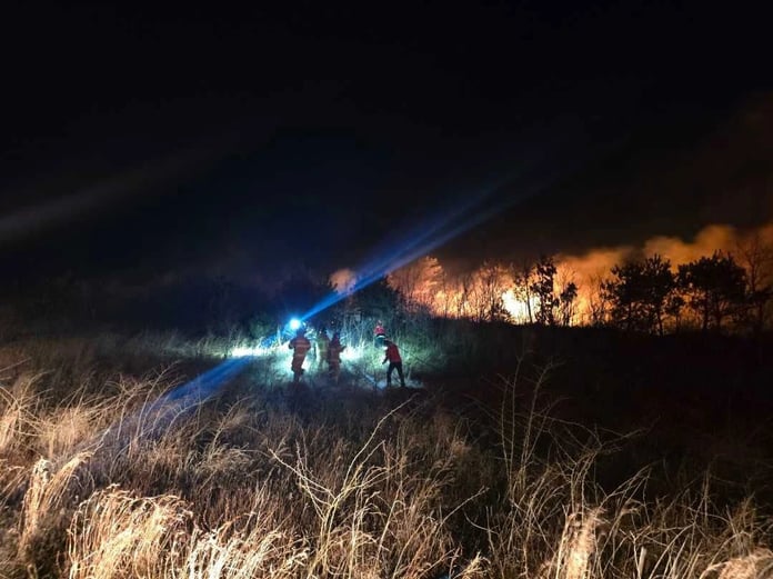 Fotoğraf / Korea Herald