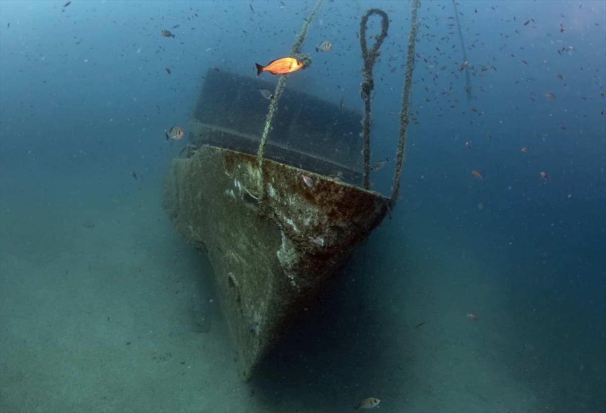 Denizin altındaki dünya Karaburun'da keşfediliyor